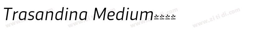 Trasandina Medium字体转换